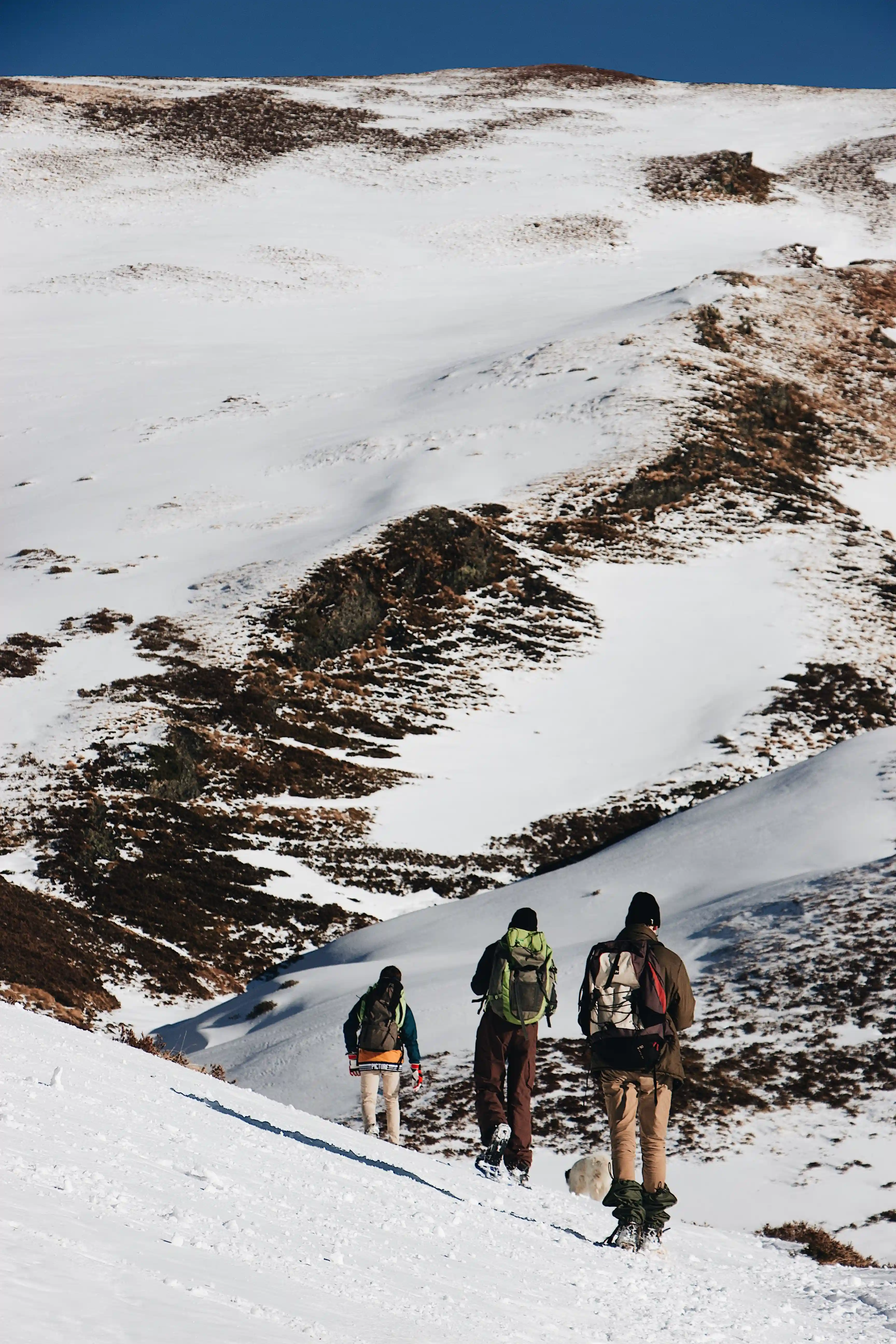Everest Three pass Trek 20 Days